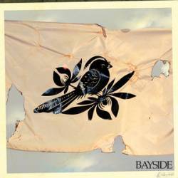 Bayside : The Walking Wounded